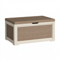 Cassapanca contenitore 100 x 50 x 50 cm in plastica beige/marrone con pannelli effetto rattan